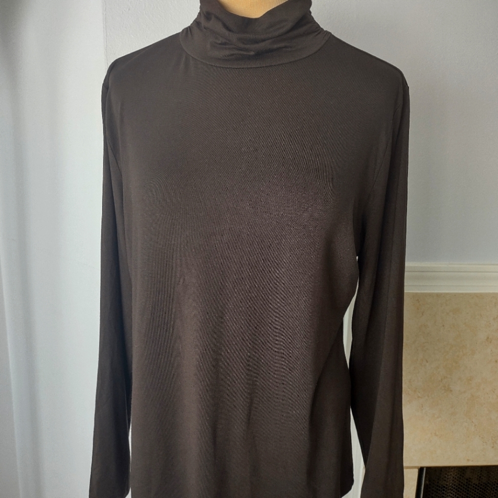 Style & Co Turtle neck long sleeve  Top XLP